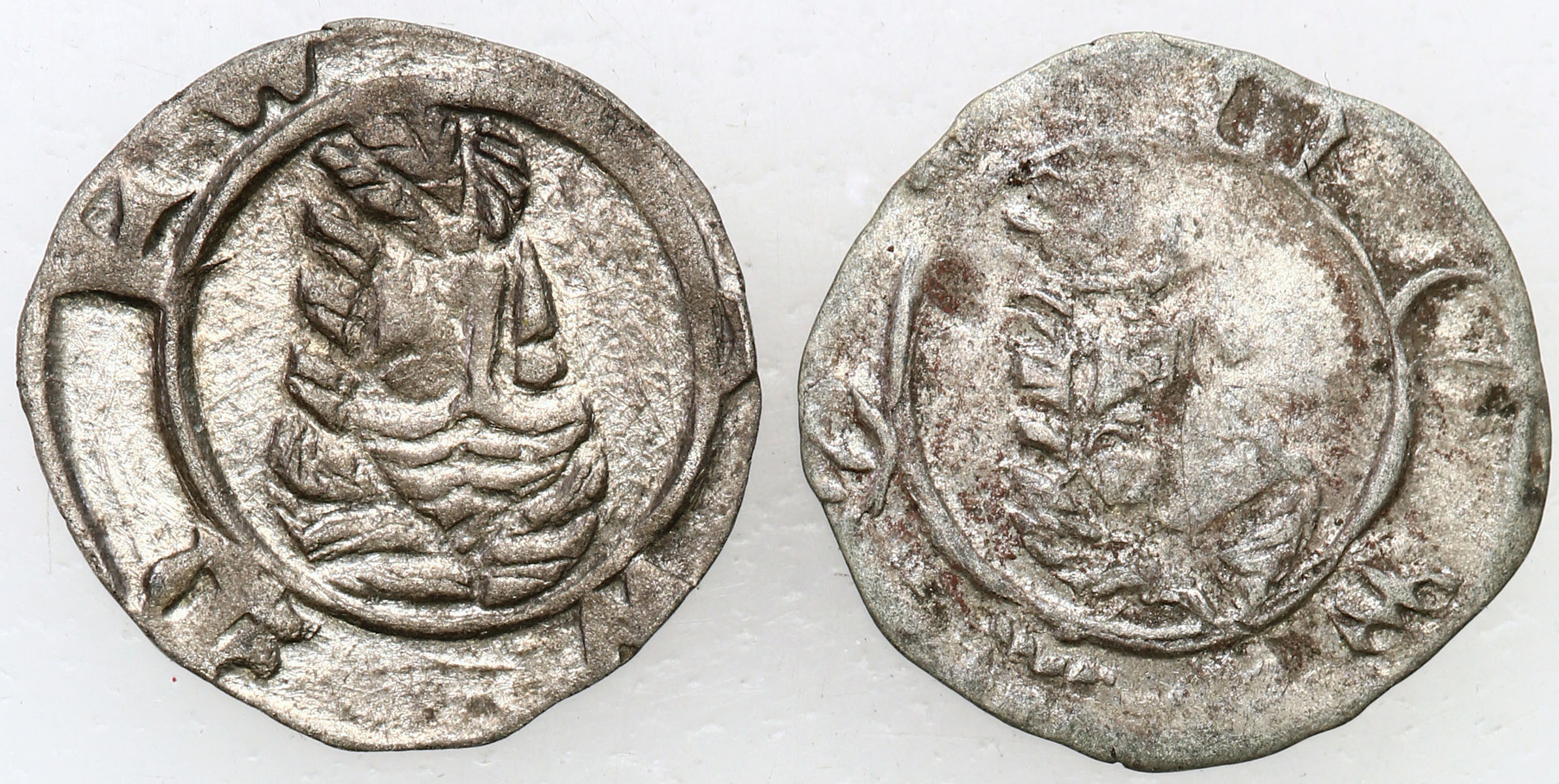 Śląsk, Księstwo Wrocławskie. Zygmunt Luksemburczyk (1419-1437). Halerz miejski, Wrocław, zestaw 2 monet